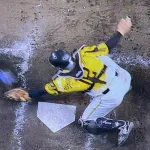 虎ファン、祝賀会【佐藤輝明決勝HR！森下魂のレーザービーム！！！】
