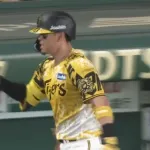 サトテル２４号ｗｗｗｗｗｗｗｗｗｗｗｗ