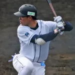 2015年「両リーグトリプルスリー！秋山216安打！日シリ山田3連発！」←うおおおおお