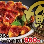 【画像】かつや、超えちゃいけないラインを越えてくる