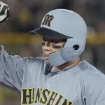 今日の戦犯を梅野隆太郎に挙げてる奴いるけど今日の梅野は何も悪くないだろ