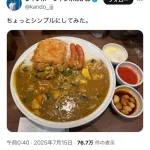 【画像】芸人さん、CoCo壱で豪遊