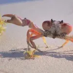 【悲報】男性「おっ！カニやん！茹でて食ったろ！！」→食中毒に・・・・・・・・