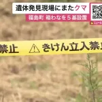 新聞配達員を襲ったヒグマ、事件現場にまた現れる