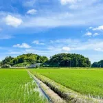 ”本物”の田舎に住んでる奴にしかわからないこと