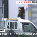 射殺された熊、熊違いで殺された可能性大...