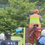 新聞配達員を殺したヒグマ、4年前に同じ町でおばあちゃんを殺したヒグマだった模様