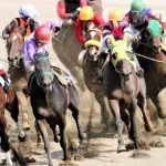 【急募】競馬を辞める方法を教えてクレメンスｗｗｗｗｗｗｗｗｗｗｗｗｗｗｗｗ