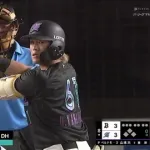 12球団の二桁ホームラン選手がこちらwww