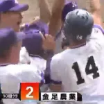 秋田の金足農業、2年連続での夏甲子園出場！決勝点は サヨナラスクイズ