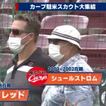 カープ新助っ人の途中補強が遅れている理由は「スカウトが有能すぎて候補がMLB昇格した不運」
