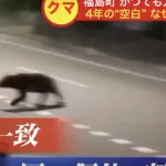 【悲報】熊に食べられた新聞配達員、4日前から付け狙われていた。母親に「ナイフ装備したほうがいいかな？」