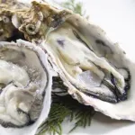 おまえらが今まで食べたもので1番美味かったもの書いてけ