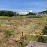 住民「新聞配達員がクマに襲われてるので金属バットを持ち外に出たが恐怖で見てることしかできなかった