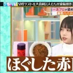【朗報】あのちゃん、水曜日のダウンタウンから紅白歌合戦まで登り詰めるｗｗｗｗ