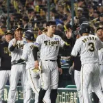 プロ野球、12球団の前半戦入場者数を発表！阪神が入場者数184万3775人でトップ...日本ハムは前年比11.2％のプラス