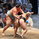 大相撲優勝争い、もうめちゃくちゃ