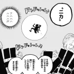 ワンピースニワカ「ニカは後付け」ワイ専門家「はぁ…(呆れ)」