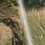 【悲報】農家「水不足で米できません」なお備蓄米は放出済み