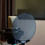 一番好きな声の女性声優