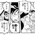 ロロノア・ゾロ「ウソップの第一声が謝罪ならよし！それ以外なら帰る場所はない！」