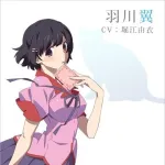 物語シリーズの漫画見たんやが羽川可哀想すぎる