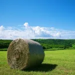 お盆休み北海道行くんだが…どこ回ろう？オススメある？