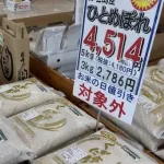 2025年産新米、3500円前後で店頭に並ぶ見込み。九州など月内に出荷。24年産より2割程度安く