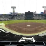 大学、高校野球「DH制導入します！」セリーグ「…」