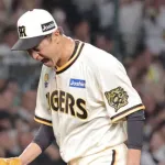 虎ファン、祝勝会【新井カープ、藤川を無視した次の試合から9連敗】