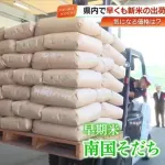 【悲報】JA「今年の新米は5キロ4000円台で考えております」