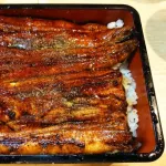 うなぎに1番マッチする薬味って山椒じゃないよな
