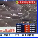 千葉・館山の海岸で複数のクジラが打ち上げられる