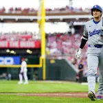 【悲報】大谷翔平さん、また騙される。ハワイの別荘いまだ建築開始されず