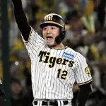 交流戦明けの阪神が強い理由、坂本がスタメンだったから