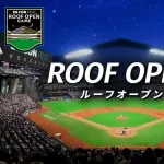 今日ってエスコンで試合やれそうなんか？