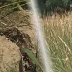 【悲報】農家「水不足で米できません」なお備蓄米は放出済みｗｗｗｗ