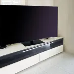 テレビ見ないやつガチで増えてきたよな