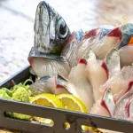 刺身で食うと最高にうまい魚
