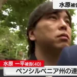 一平って国民的人気者の大谷から数十億盗んだのにそこまで嫌われてないよな