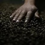 トランプ大統領「ブラジルのコーヒーは関税50％」中国「うちにコーヒー売ってよ」ブラジル「おかのした」
