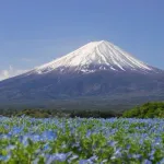 富士山(3776m)←くぉれどうやって測ったの？wwwwwwwwww