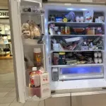 【画像】リュウジの家の冷蔵庫の中身ｗｗｗｗｗｗｗｗ