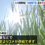 石破内閣「JAとか仲卸のせいにしてすまんwコメ足りないだけだったわw」