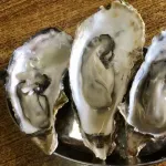 【悲報】昨日牡蠣を食べたワイの末路wwwwwww