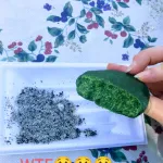 【画像】外人「日本で食べたこの食べ物の名前が分からない…もう一度食べたいんだけどこれ何？」