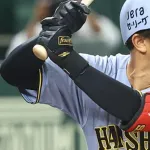 昨日の阪神タイガース打線の成績、なんか物足りないwwwwwwwwwwww