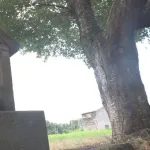 新潟県人、阿弥陀如来像を縄で縛って池に放り込んで雨乞い→災害級の豪雨