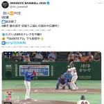 【誤植】中日駿太、9回のマウンドに上がり見事セーブを挙げる