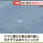 ヒグマに連れ去られた時に助かる方法